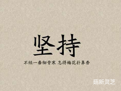 靈芝孢子粉需長(zhǎng)期堅(jiān)持服用