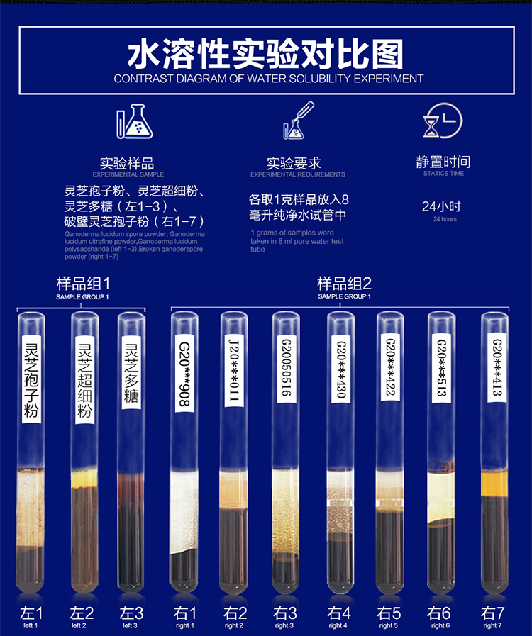 菇新破壁靈芝孢子粉顆粒60克裝