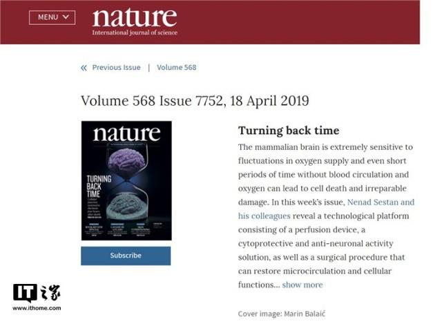 Nature封面重磅發(fā)布耶魯大學(xué)最新研究：豬大腦在死亡4小時后成功復(fù)活