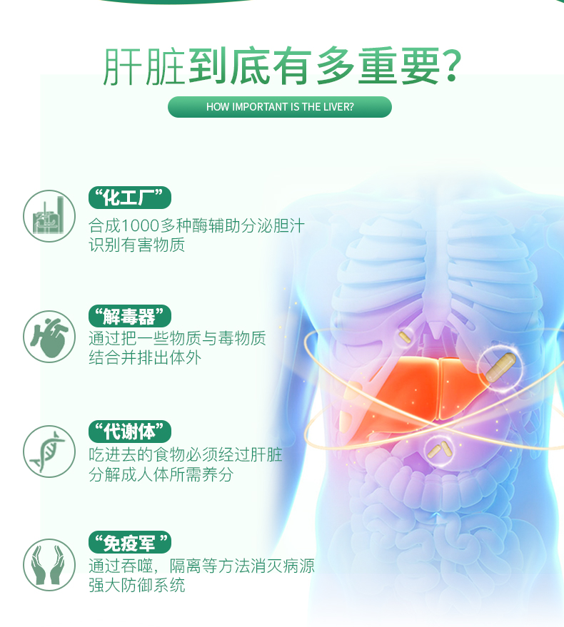 大漢靈芝三圣膠囊套裝